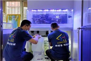 商业海水缸 定做——龙威水族