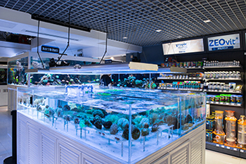 商业海水缸 定做——龙威水族