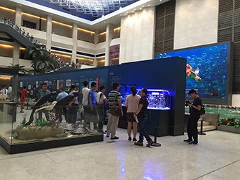 国家一级博物馆海洋科普  指定龙威合作