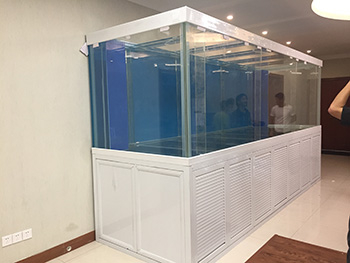 超白大型鱼缸定制项目