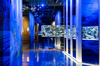 海洋馆建设 竣工 营业 服务 一条龙 文化馆