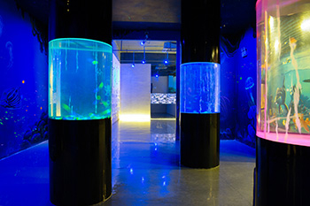 海洋馆建设 竣工 营业 服务 一条龙 文化馆