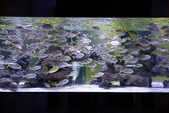 海洋馆建设 竣工 营业 服务 一条龙 文化馆