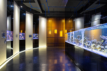 海洋馆建设 竣工 营业 服务 一条龙 文化馆