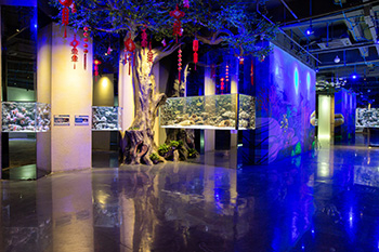 海洋馆建设 竣工 营业 服务 一条龙 文化馆