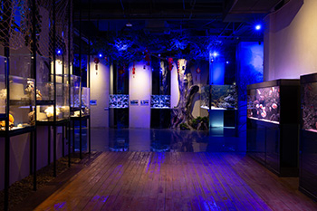 海洋馆建设 竣工 营业 服务 一条龙 文化馆