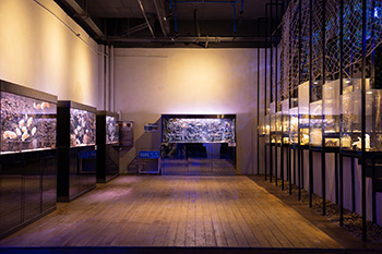 海洋馆建设 竣工 营业 服务 一条龙 文化馆