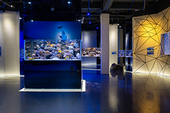 海洋馆建设 竣工 营业 服务 一条龙 文化馆