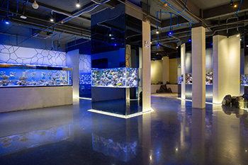 海洋馆建设 竣工 营业 服务 一条龙 文化馆