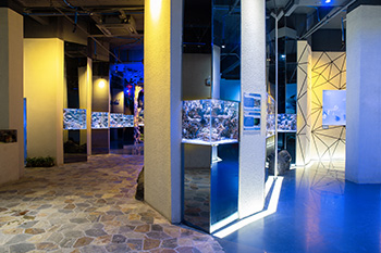 海洋馆建设 竣工 营业 服务 一条龙 文化馆