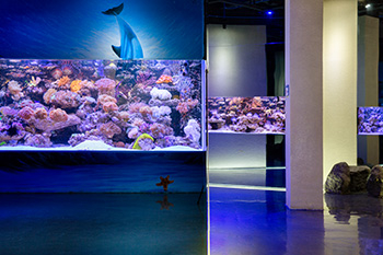 海洋馆建设 竣工 营业 服务 一条龙 文化馆