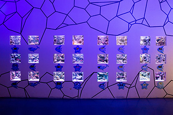 海洋馆建设 竣工 营业 服务 一条龙 文化馆