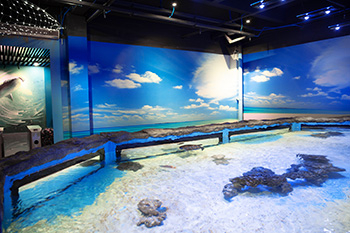 海洋馆建设 竣工 营业 服务 一条龙 文化馆