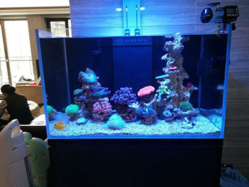 海水景观 定制项目