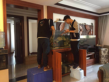 淡水鱼缸定期清洗项目