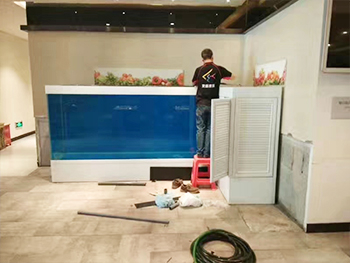 室内大型鱼缸定制案例