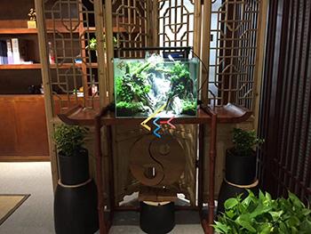 书房定制鱼缸项目