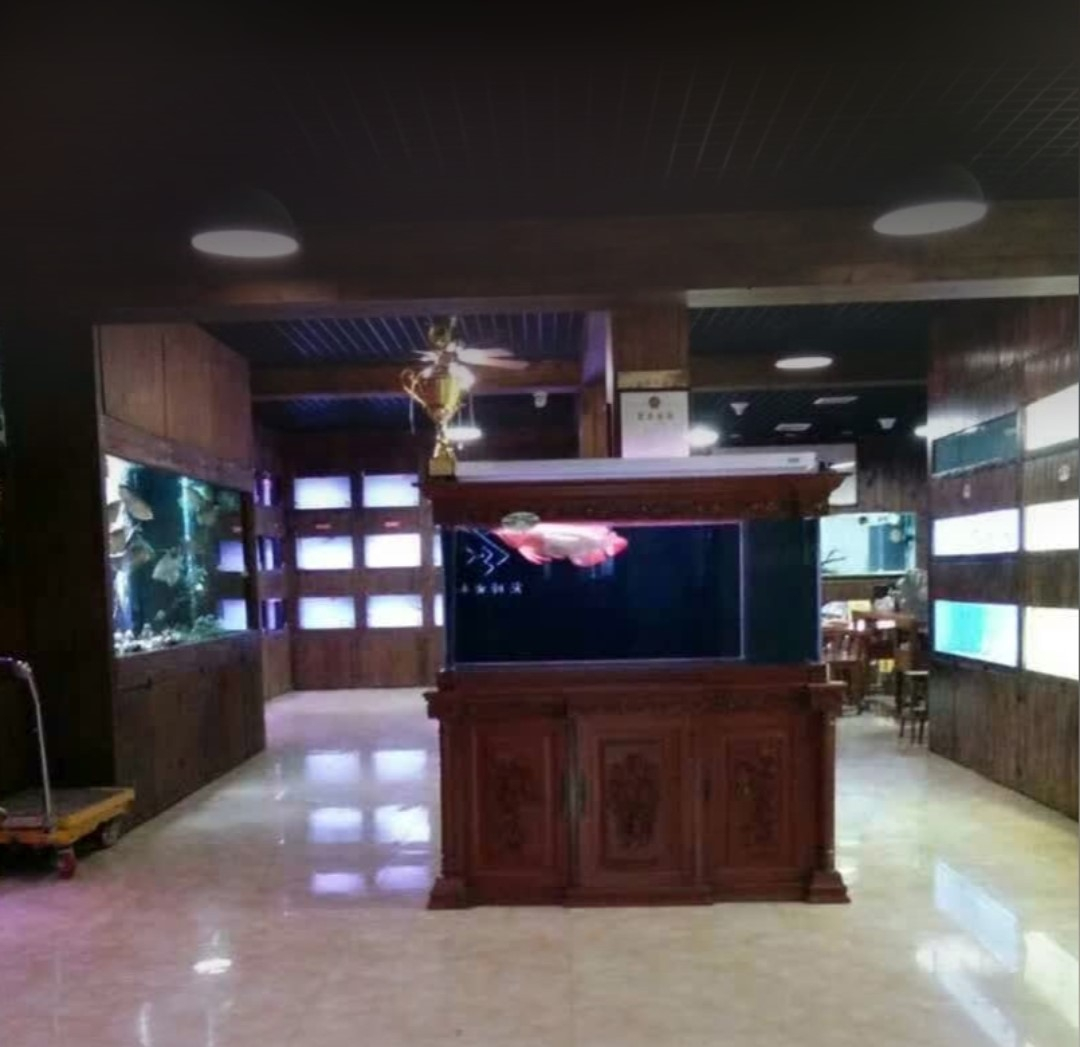 深圳酒店大堂定制海水缸案例