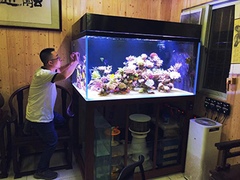 客厅海水定制鱼缸项目