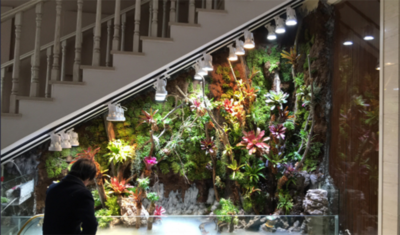 生态热带雨林缸定制