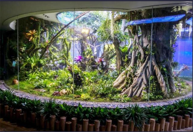 生态热带雨林缸定制