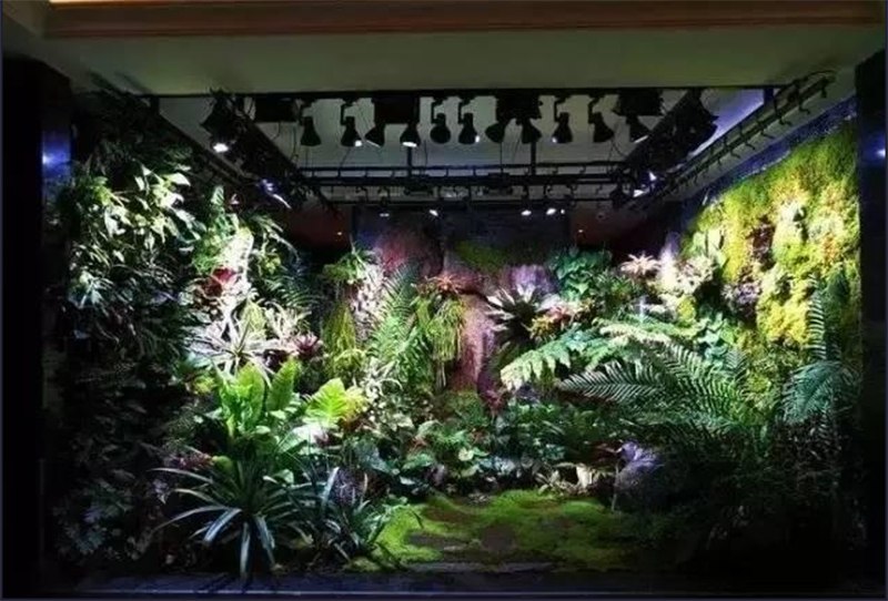 生态热带雨林缸定制