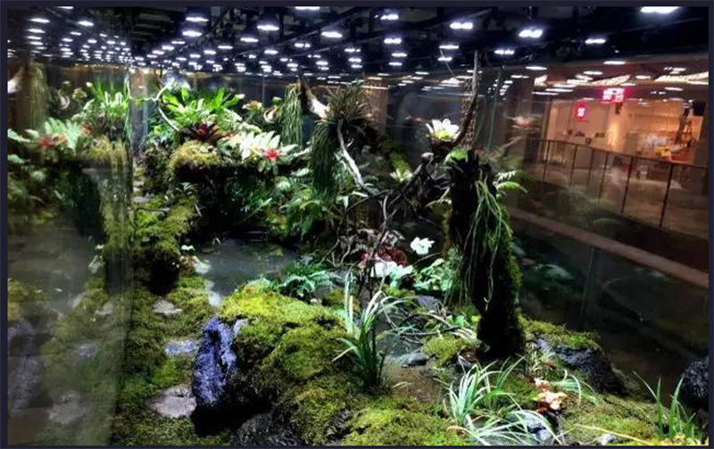 生态热带雨林缸定制