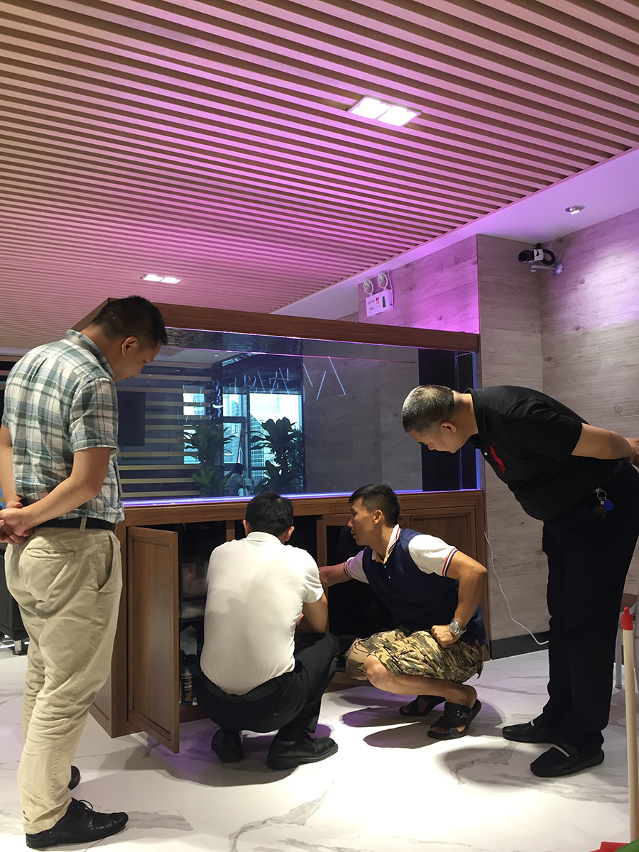 公司 大型鱼缸定制——龙威水族