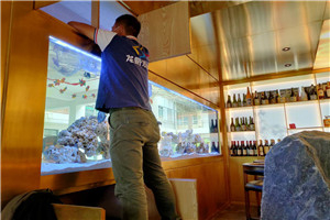 大型海洋鱼缸 观赏鱼缸 海洋景观