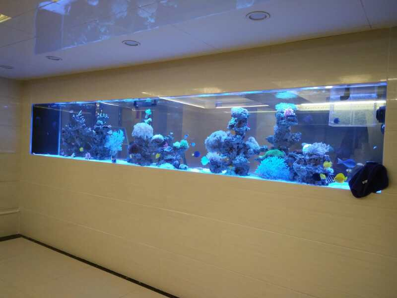 龙威水族_定制超白玻璃鱼缸 质量保证,定制超白玻璃鱼缸|深圳海缸定制|深圳鱼缸定做